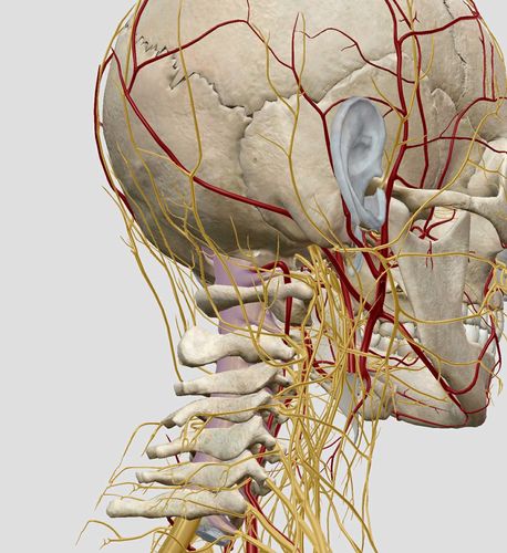 颈椎病——椎动脉型,交感神经型颈椎病