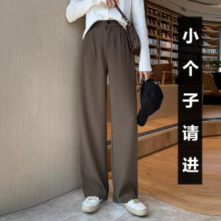 秋季咖色西装ins潮裤女垂感高腰显瘦宽松垂感拖地裤小个子阔腿裤