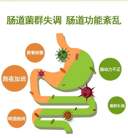 天松大豆低聚糖300ml*4瓶润肠通调节肠道菌群便秘