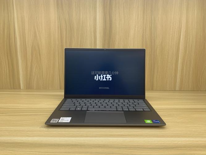 戴尔新品灵越14pro 灵越5410