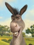 donkey 高清壁纸
