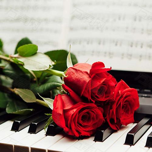 红玫瑰微信背景图