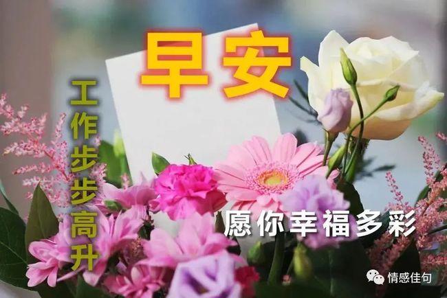 下午好每日祝福