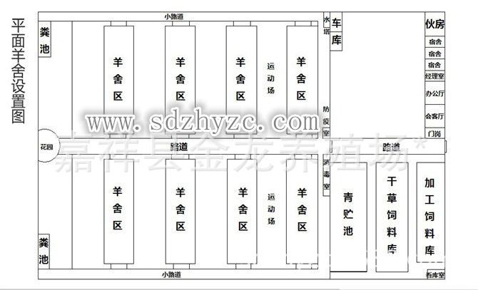 【低价批发】黑头无角增重迅速的杜泊绵羊羔羊货到付款专车专送