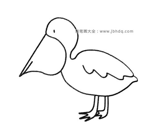 鹈鹕简笔画图片大全