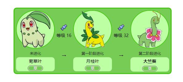 《口袋妖怪》菊草叶应该练什么努力值?