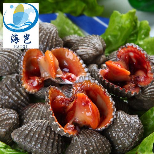 厂家批发海产品活海鲜东山海鲜血蛤 批发鲜活生吃血蛤海产品图片