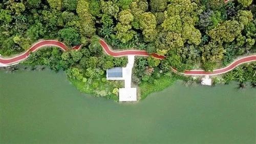 广州绿道上央视啦!靓爆全国!