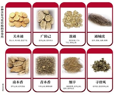马兜铃酸肝毒性疑云待解
