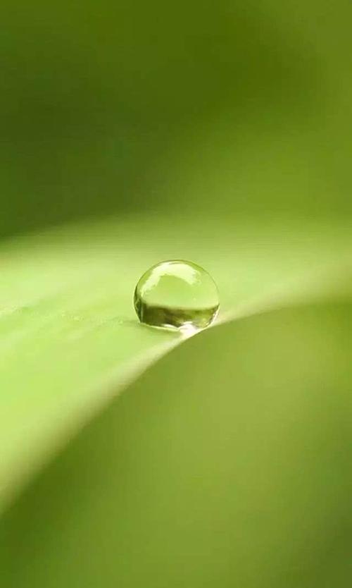 一组缓解眼疲劳的图,给眼睛来个滋养