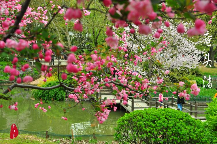 烟花三月下江南(鼋头渚篇)