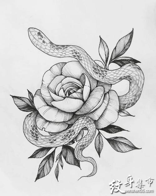 素花女武士艺伎纹身,素花女武士纹身手稿图案大全