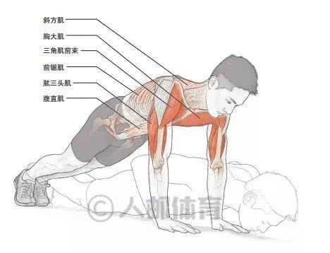 动态俯卧撑肌肉详解动作教程 增强上肢爆发力