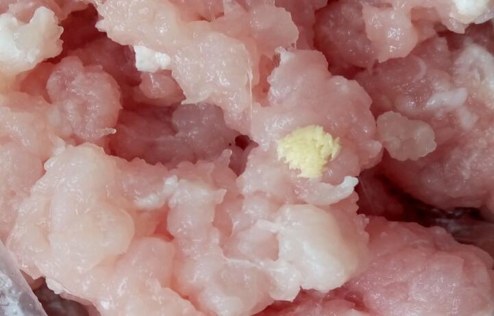 好像虫卵,这是买的肉,绞的馅子.是猪肉带的吗, 还是机器里的.