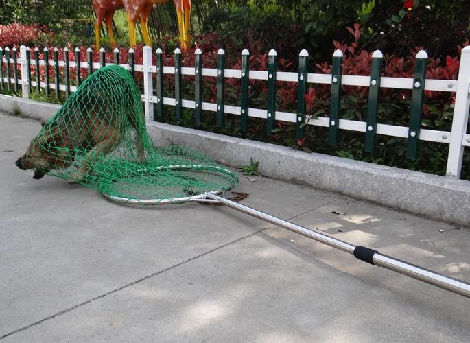 流浪动物抓捕网捕狗器工具抓狗网兜套狗器套狗绳捕狗