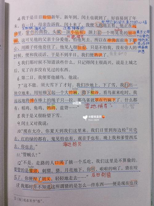 少年闰土笔记_教育_教育其他