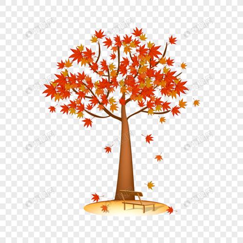 秋天枫树