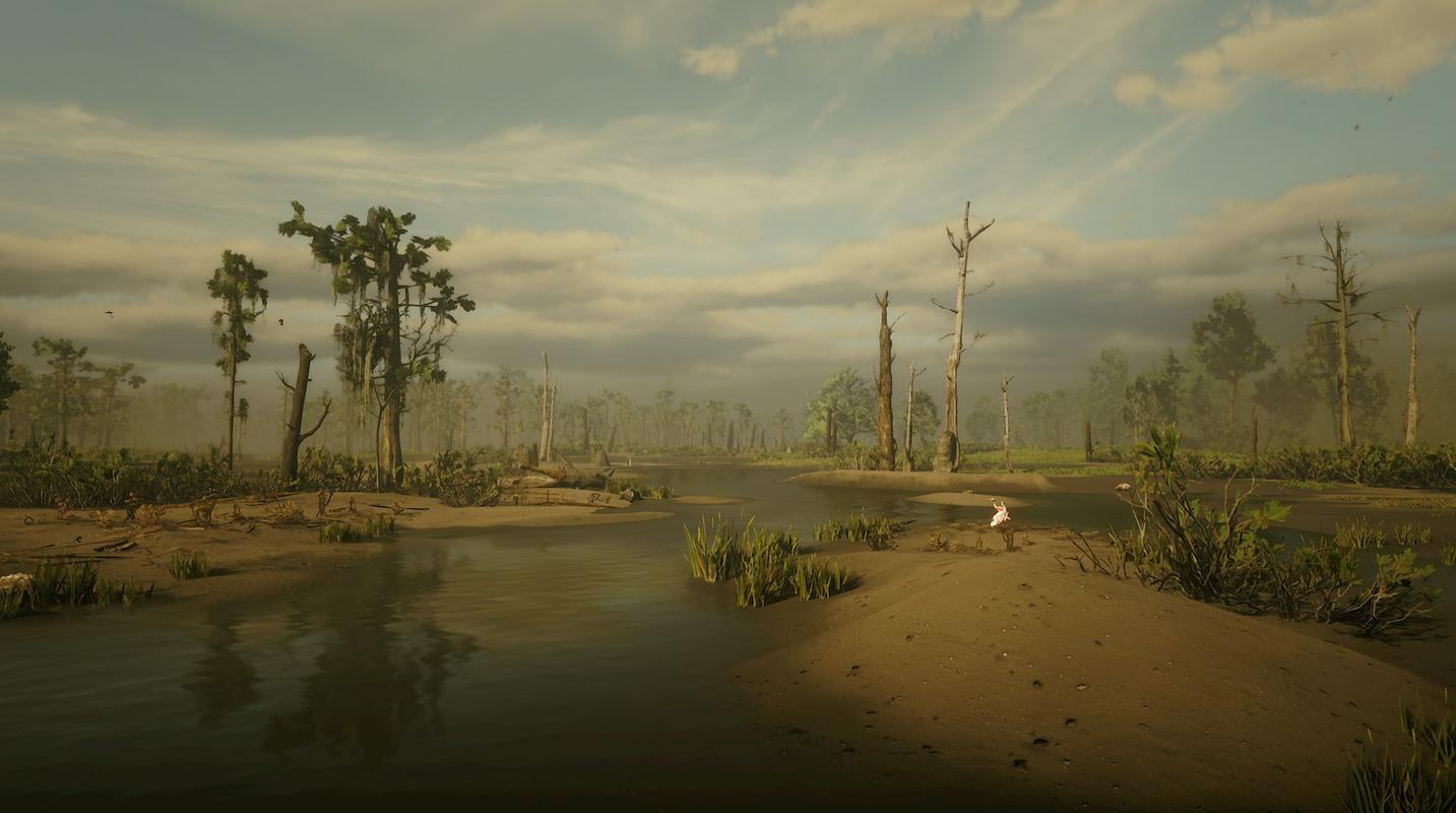 蓝水沼泽-黑沼泽