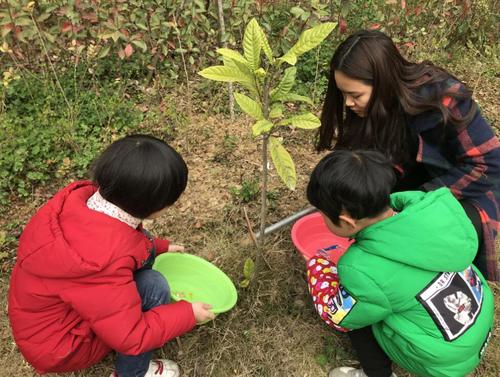 青川关庄镇幼儿园开展植树节主题活动