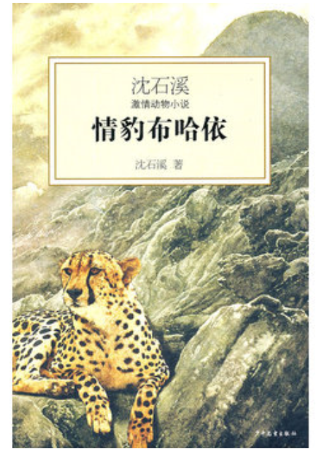 绘本名:情豹布哈依