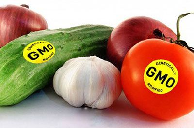 美国就转基因食品标签正式立法