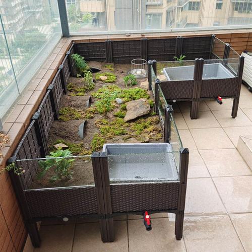 养殖安徽黄缘闭壳龟盒环境半水龟饲安缘台缘黄专用龟