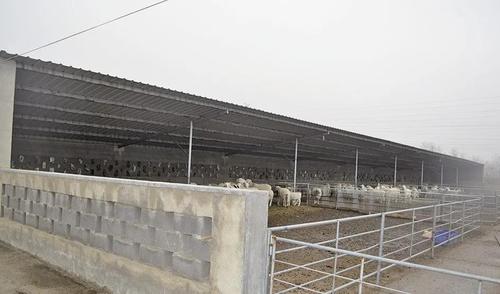 5种最实用的羊舍类型!你家是哪种?
