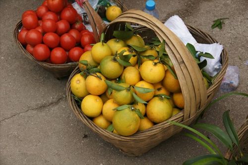 黄果树