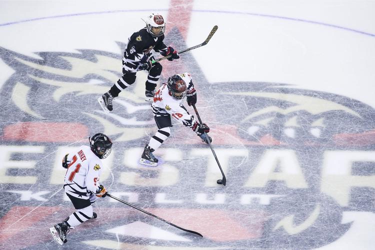 khl职业俱乐部控股小狼 昆仑鸿星冰球教育板块正式成立