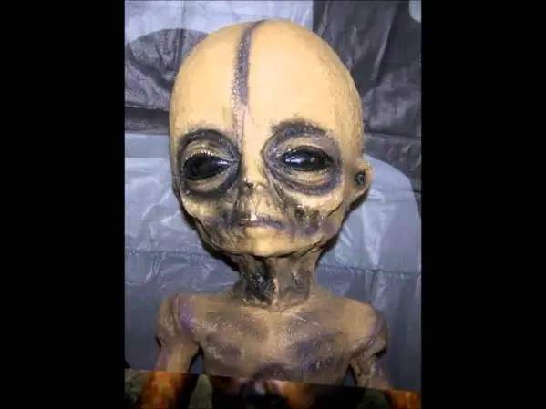 美国科学家临终爆料已经掌握外星人的秘密揭秘神秘的51区