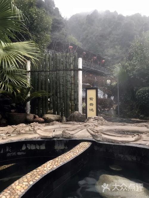 莽山森林温泉酒店-图片-宜章县酒店-大众点评网