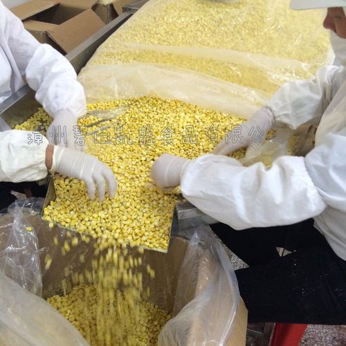 厂家批发散装 即食非油炸 甜脆口感 冻干玉米脆 玉米粒