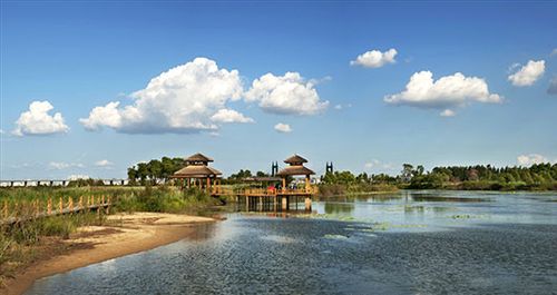金河湾湿地公园 - 魅力龙江 - 光影视界-光影视界网