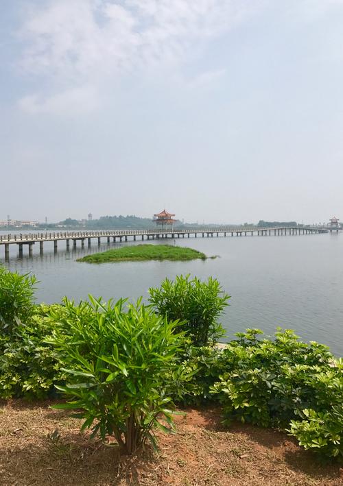 湛江滨湖公园