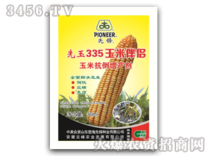 云峰-先锋-先玉335