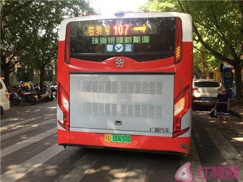 市区107路公交车为何到站不报站?请看记者调查