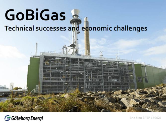 gobigas - 技术成功与经济挑战.pdf