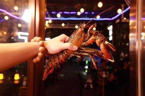 珠江新城震撼龙虾鸡煲!冇搞错!一只鸡竟然做出16种口味!