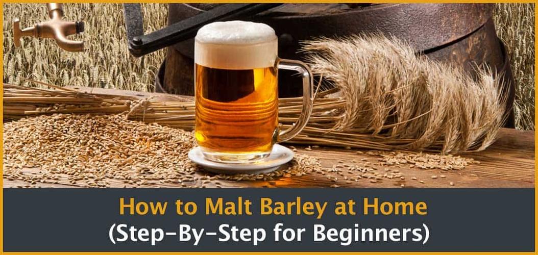 what is malted barley & how do you make it?