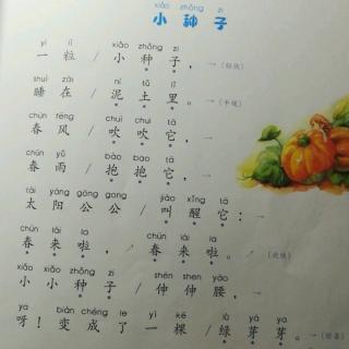 主持1—1 小种子