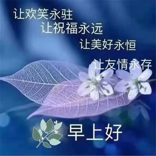 一声问候,互相牵挂,言语不多,祝福无价,祝愿大家幸福安康,开心健康每