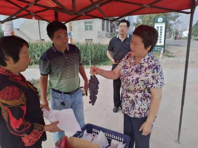 让青春在坚守初心中熠熠生辉——富平县齐村镇桥西村第一书记马军辉