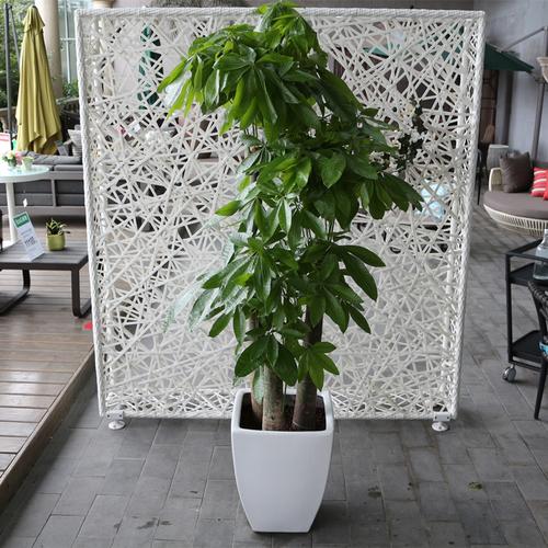 办公室花卉摆放风水 你了解多少