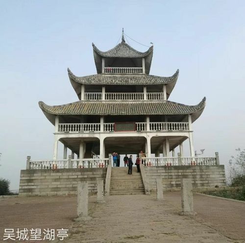 永修吴城观鸟自由行