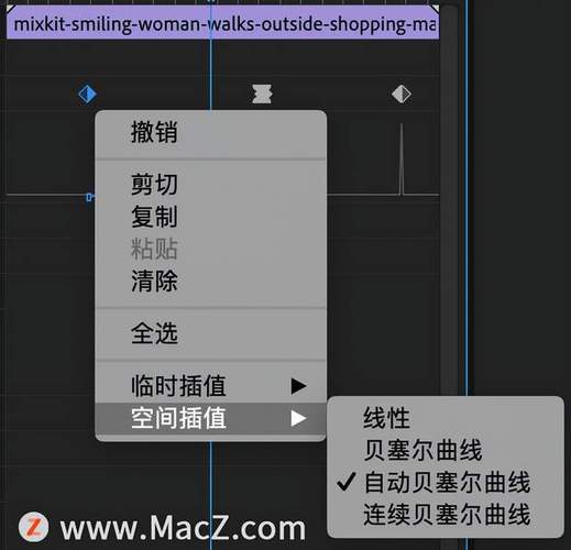 匀速度,加速度和减速度的速度变化,可调整素材的平滑度和运动轨迹