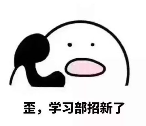 歪,学习部招新了!