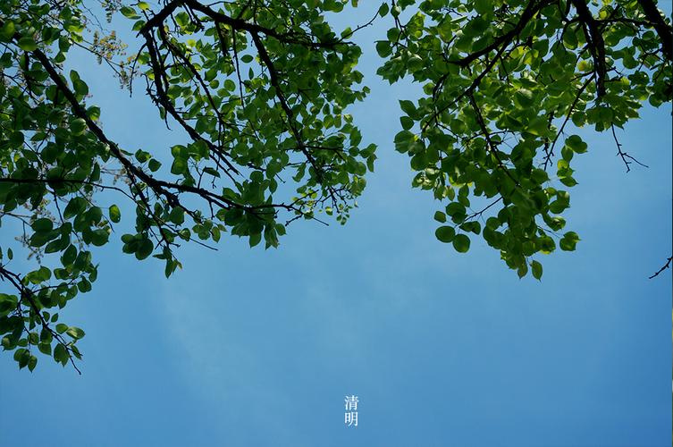 清明|摄影|游记|xuyaya - 原创作品 - 站酷 (zcool)