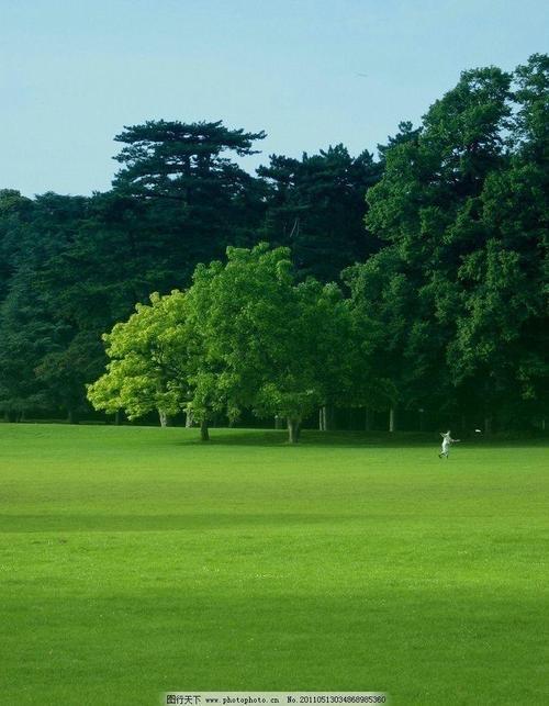 养眼绿色美景(图片取自网络)