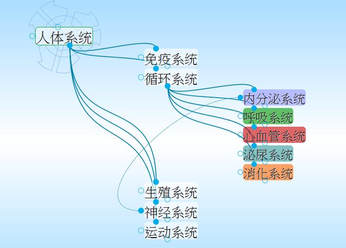 用thebrain做了一个人体九大系统的关系图