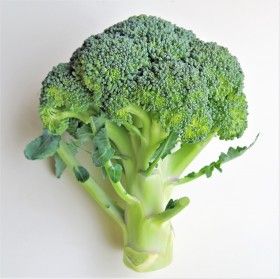 绿花菜图片大全